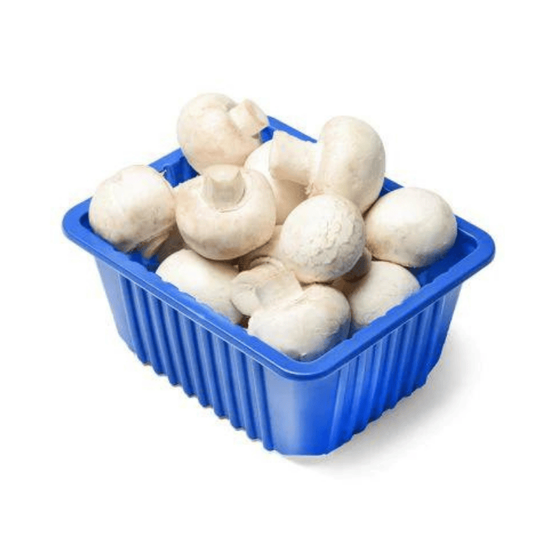 Mushroom packed - Image 2