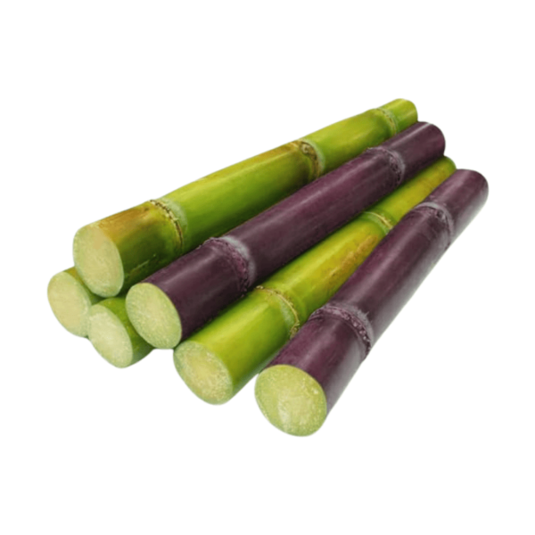 Sugar Cane Stick